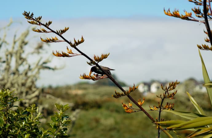 Murphys Bush Reserve