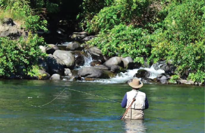 The Tongariro River Fishing